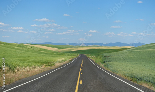 Road surrounded by wheat field in Washington state. 