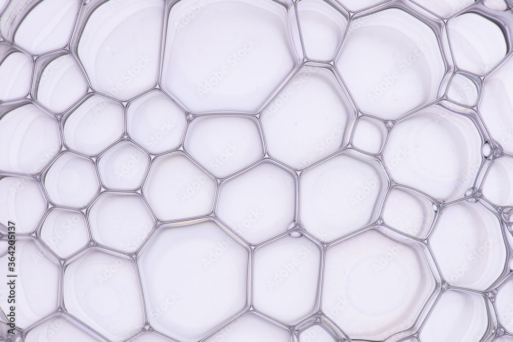 Macro close up of soap bubbles look like scienctific image of cell and cell membrane Macro close up of soap bubbles look like scienctific image of cell and cell membrane