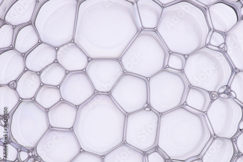 Macro close up of soap bubbles look like scienctific image of cell and cell membrane