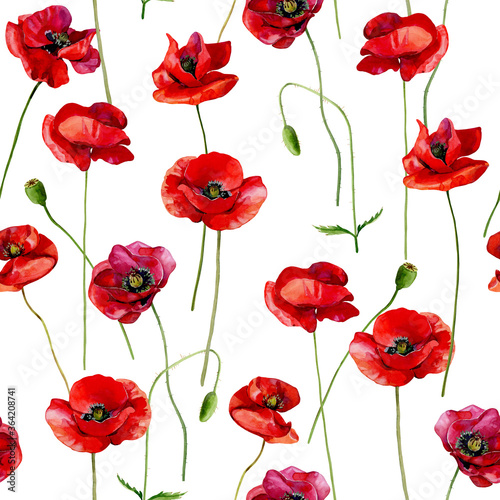 Seamless pattern of watercolor poppies on a white background.
