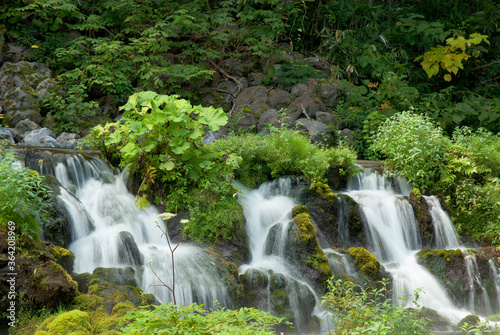 Fototapeta Naklejka Na Ścianę i Meble -  湧水と小さな滝のある風景