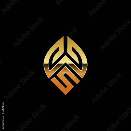 letter SW,letterWS vektor logo ideas
