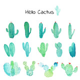 Cactus succulent plants watercolor set. Hand drawn vector illustration.