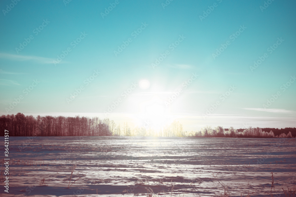 Fototapeta premium Winter nature