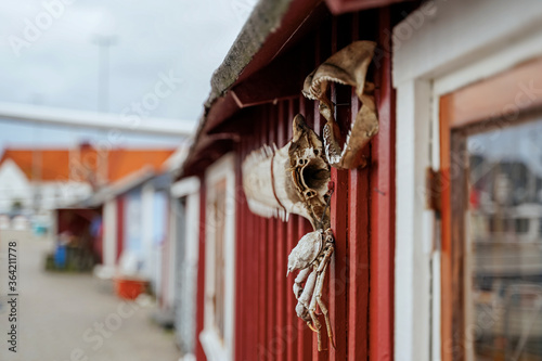 Detail of old wooden fishing house in marina Raa in southern Sweden  Helsingborg