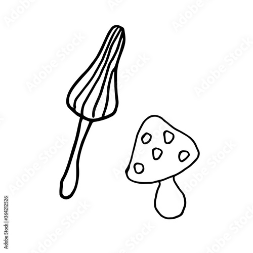 hand-drawn poisonous mushrooms illustration