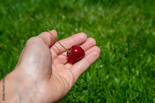 Kirsche in der Hand