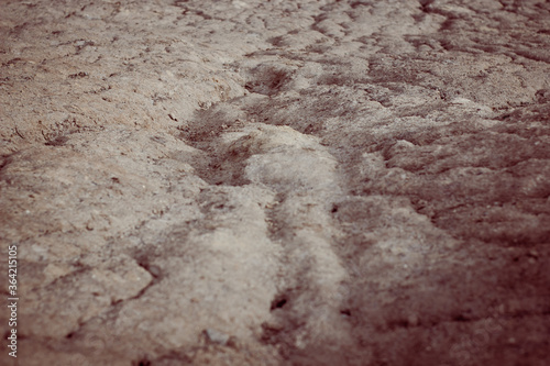 Sandy hilly quarry. Cracked earth