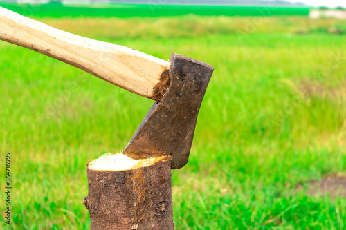 The wood chopper sticks out in wooden hemp. Ax and ax handle. Man's , male hands in white colors gloves holding an axe.