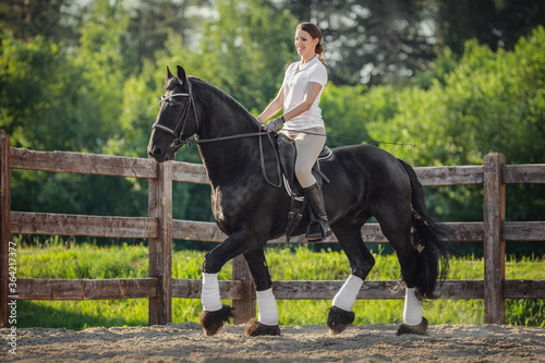 beautiful young woman riding stunning friesian stallion horse in summer