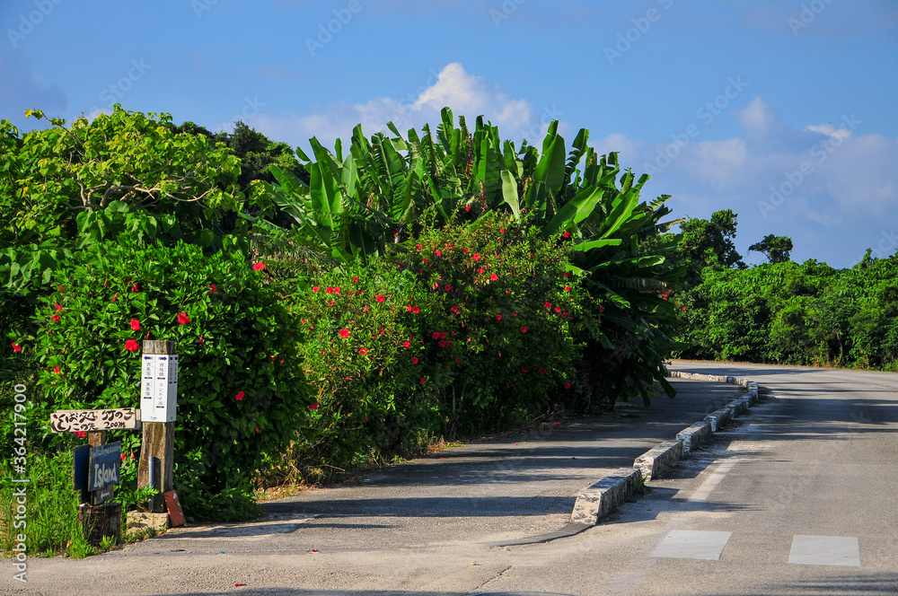 Fototapeta premium 竹富島の風景 Japan summer sky landscape of Okinawa