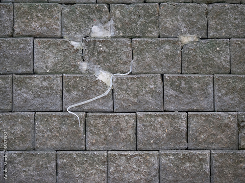 Snake carcass molting on concrete blocks wall background