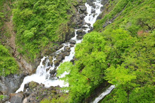                Famous majestic waterfall in Japan