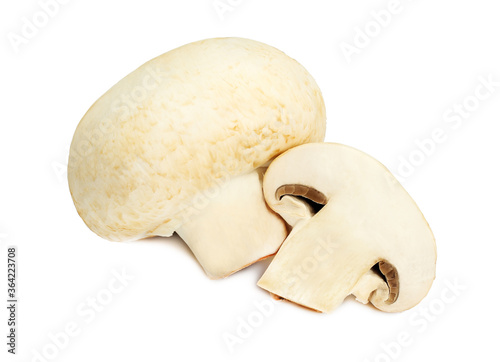 Mushrooms champignons isolated on white background