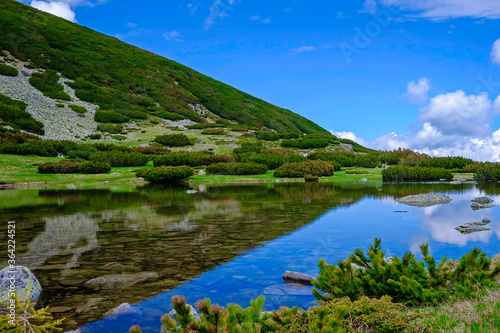 Landscape of Clear Mountain Lake with Reflections 1
