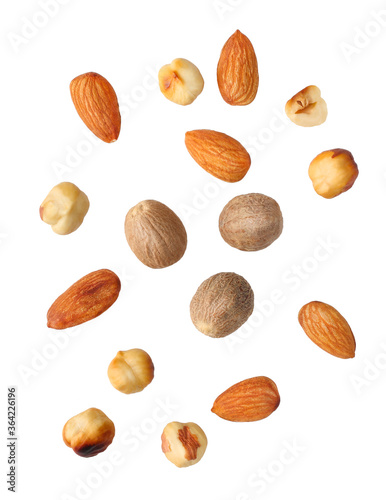 Hazelnuts and almonds isolated on white background