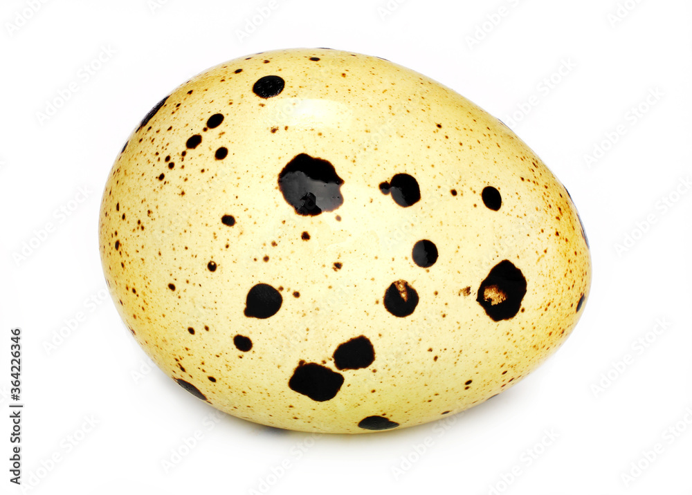Fototapeta premium Quail egg isolated on white background