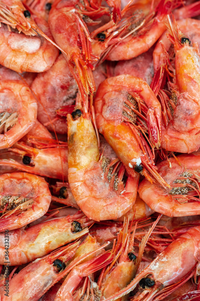 Group of boiled frozen wild shrimp with caviar cooked in sea water. Background of lot small aquatic crustaceans. Prawn - East Asia delicacy cuisine as an appetizer. Close-up flat lay view of seafood. Group of boiled frozen wild shrimp with caviar cooked in sea water. Background of lot small aquatic crustaceans. Prawn - East Asia delicacy cuisine as an appetizer. Close-up flat lay view of seafood.
