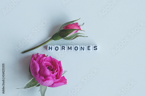 Hormones word cubes on a white background