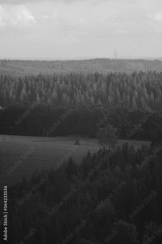 Fototapeta premium Westerwald Landschaft in schwarz und weiß