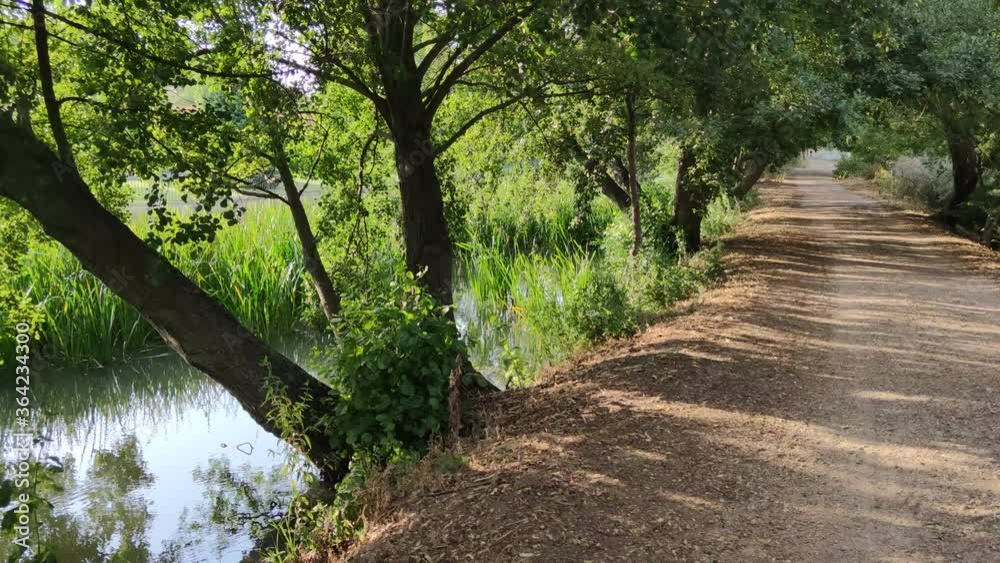 Camino en la ribera del Canal de Castilla entre la esclusa 41 y 42 Camino en la ribera del Canal de Castilla entre la esclusa 41 y 42