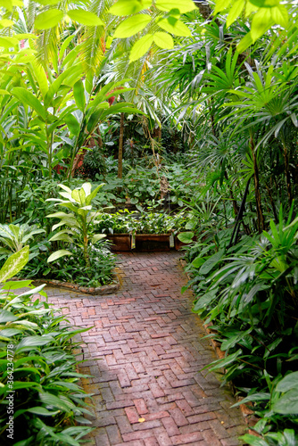Garden of Jim Thompson House Bangkok - Thailand