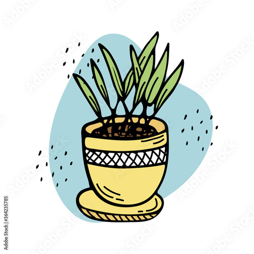 Doodle illustration of a potted plant. Interior decoration, gardening.