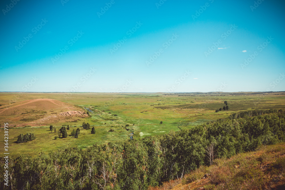 Fototapeta premium Steppe nature