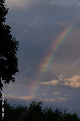 sky after summer rain  rainbow