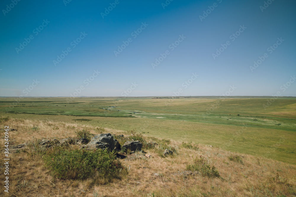 Obraz premium Wilderness wildlife