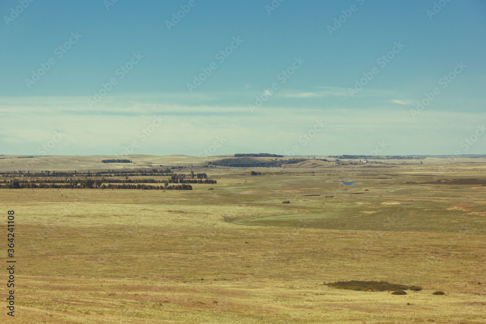 Fototapeta premium Wilderness wildlife