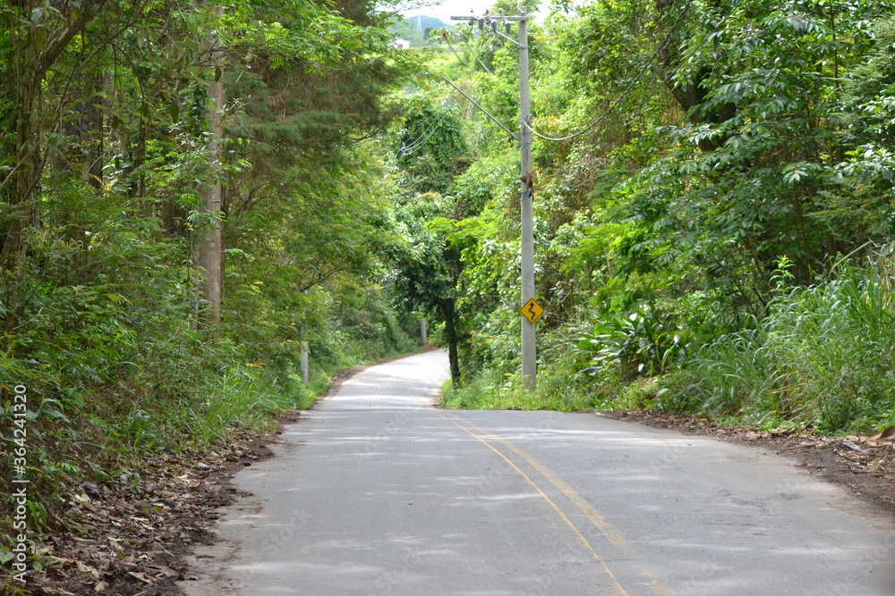 Fototapeta premium A road heading to...