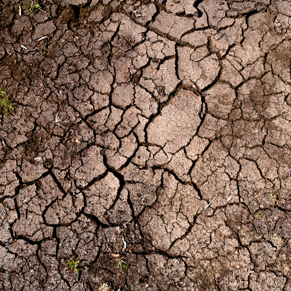 Fototapeta premium Brown Cracked ground,Cray Soil,Mud Crack.Cracks on the surface of the earth are altered by the shrinkage of mud due to drought conditions of the terrain. 