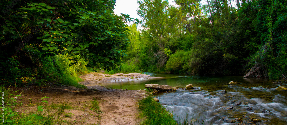 Naklejka premium Ladera del río