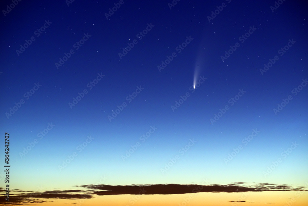 Neowise 2020 Comet on the sunrise morning sky - obrazy, fototapety, plakaty 