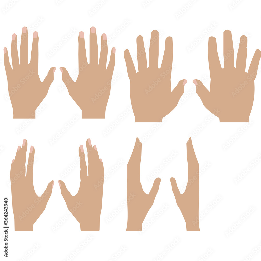 vector illustration of human hands in different positions vector illustration of human hands in different positions