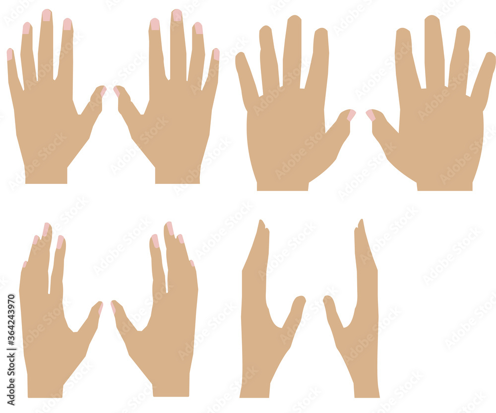 vector illustration of human hands in different positions vector illustration of human hands in different positions