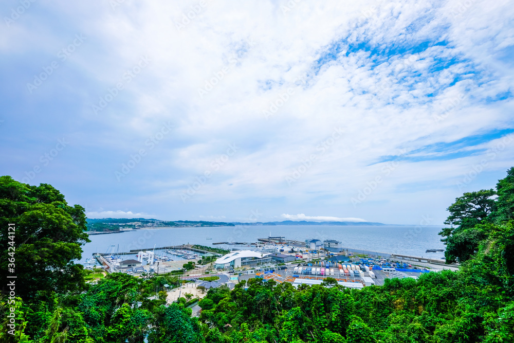 江ノ島からの景色 江ノ島からの景色