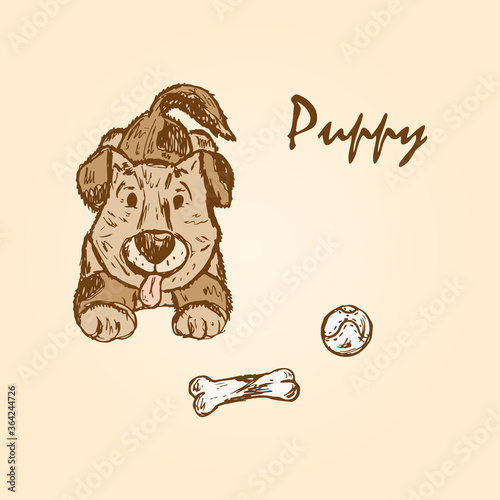 Dog. Puppy. Hand drawn doodle sketch - vector illustration
