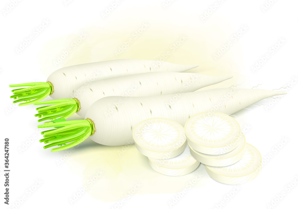 daikon radish vector illustration with radish pieces on light brown background