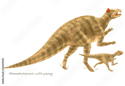 Edmontosaurus and Young (Cut Outs) A species of hadrosaurid (duck-billed) dinosaurs that lived 80 million years ago.