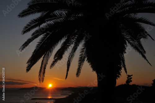 高知県から見る夕陽 Beautiful landscape of palm trees and sunset