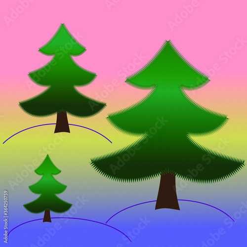 Three spruce trees on sunset background