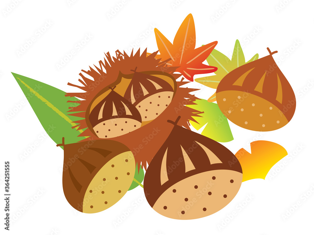 イガに入った栗と紅葉やイチョウや秋の葉っぱ Stock Vector Adobe Stock