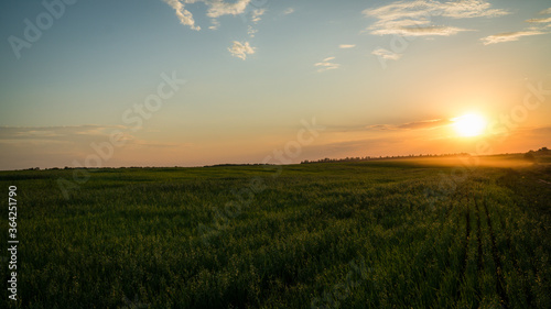 Sunset in the field © Александр Ветров