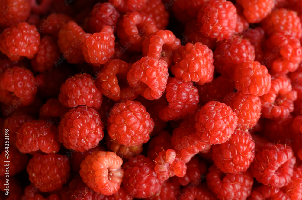 background photo of collected red raspberries background photo of collected red raspberries