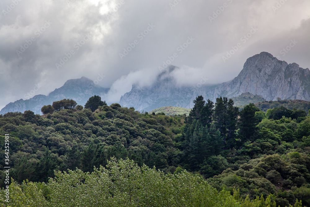 In the mountains of the Pyrenees. Summer day, low cloudiness. Trees on the slopes.