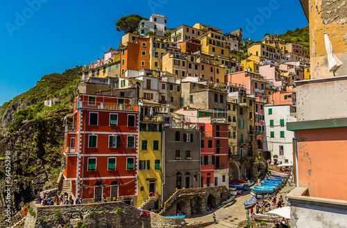 Brightly coloured buildings tumble down the hillside towards the small harbour in the Cinque Terre village of Riomaggiore, Italy in the summertime