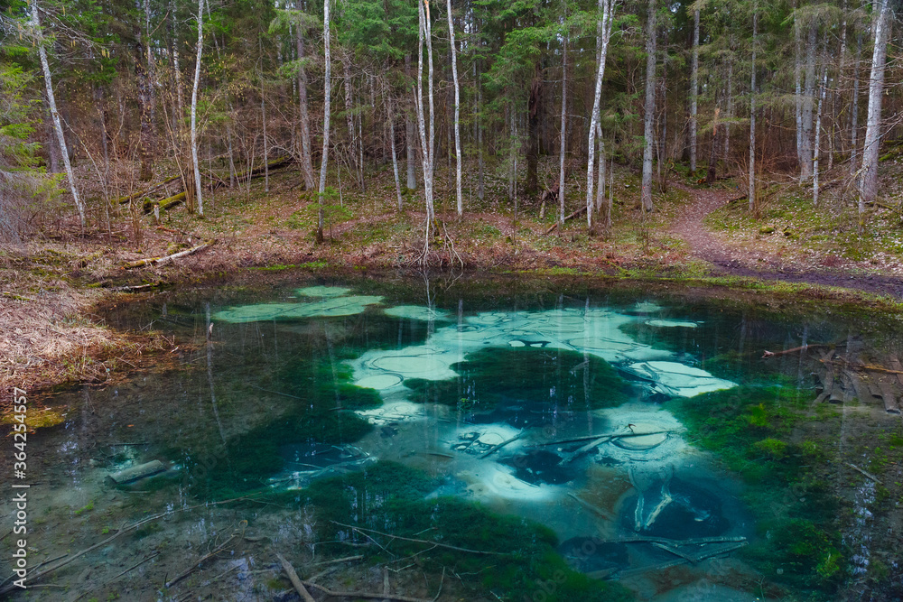 Saula blue springs pond (siniallikas). Tranquil blue and green grades of clear water and seaweed. Saula blue springs pond (siniallikas). Tranquil blue and green grades of clear water and seaweed.