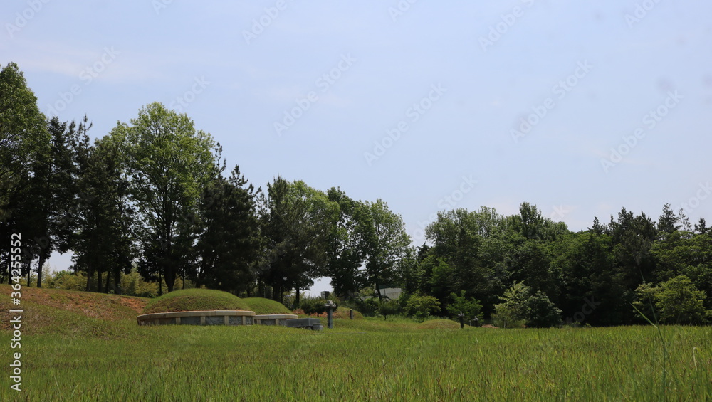 Obraz premium landscape with trees